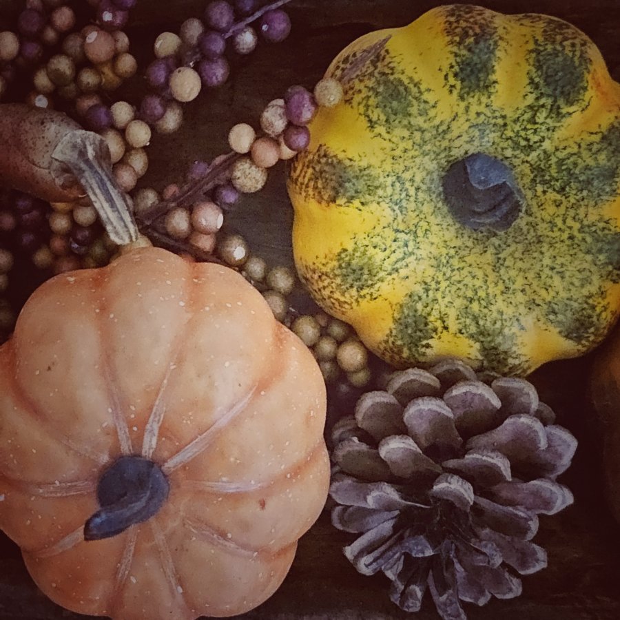 A top-down view of a fall display with a small orange pumpkin, a yellow and green speckled gourd, a pinecone, and sprigs of tiny berries.
