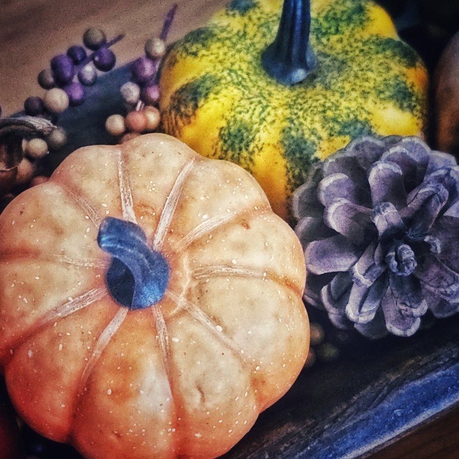A close-up of a decorative display featuring a small orange pumpkin, a speckled yellow gourd, and a purple-grey pinecone.