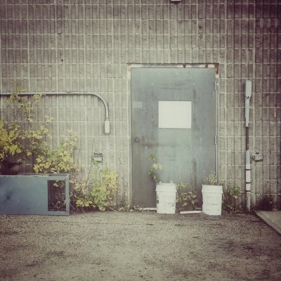A weathered metal door is set in a textured concrete block wall, flanked by overgrown green weeds, two white buckets, and an old metal box.